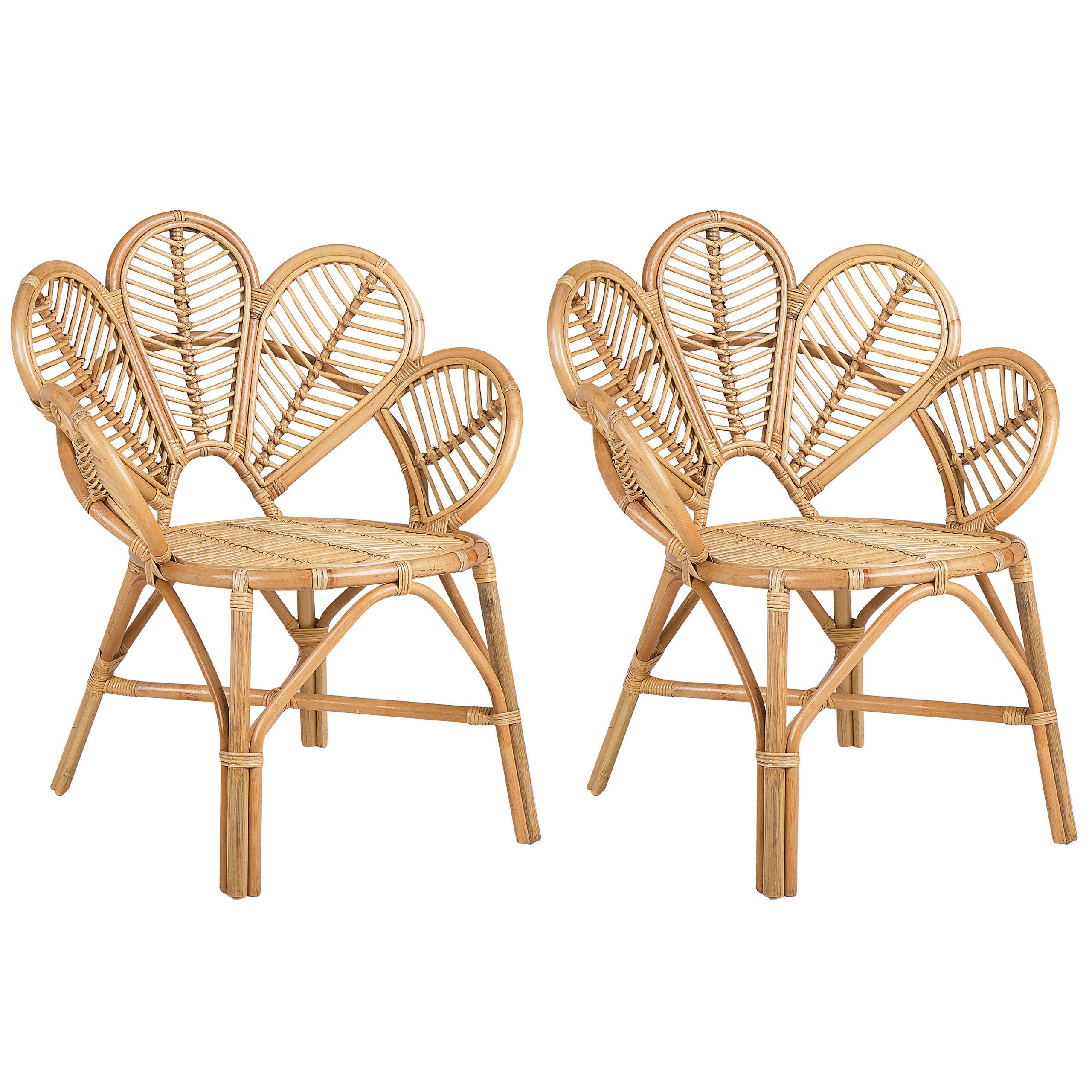 Set van 2 stoelen Rotan Natuurlijk FLORENTINE II