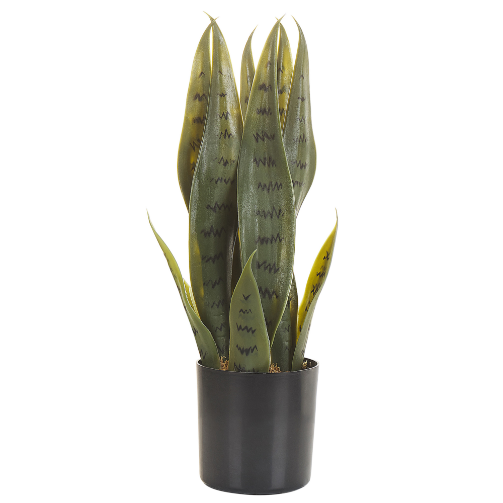 Image of Pianta artificiale di serpente in vaso verde e Nero Materiale sintetico 40 cm Accessorio decorativo per interni