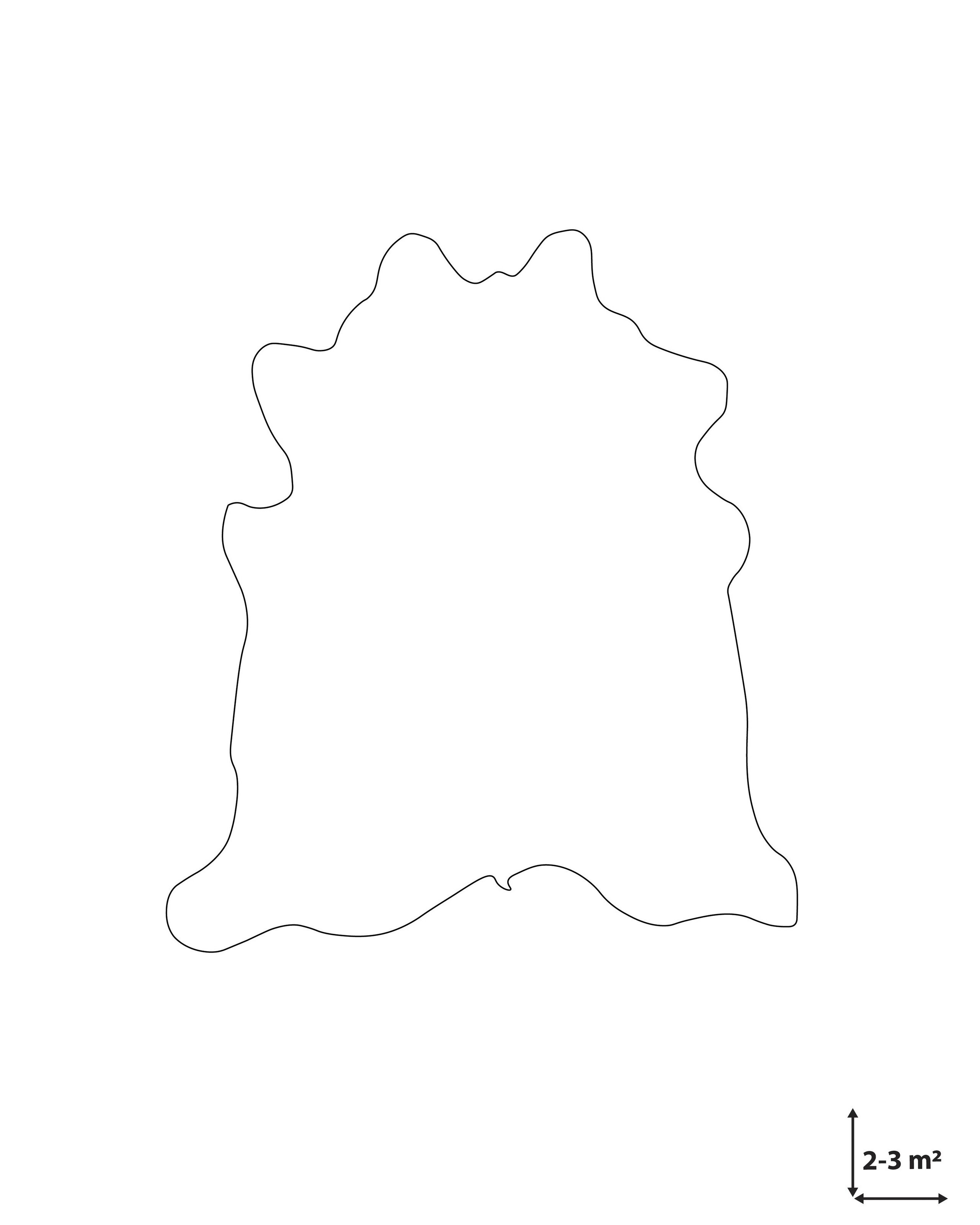 undef_src_sa_picid_815853_x_2560_type_whitesh_image.jpg