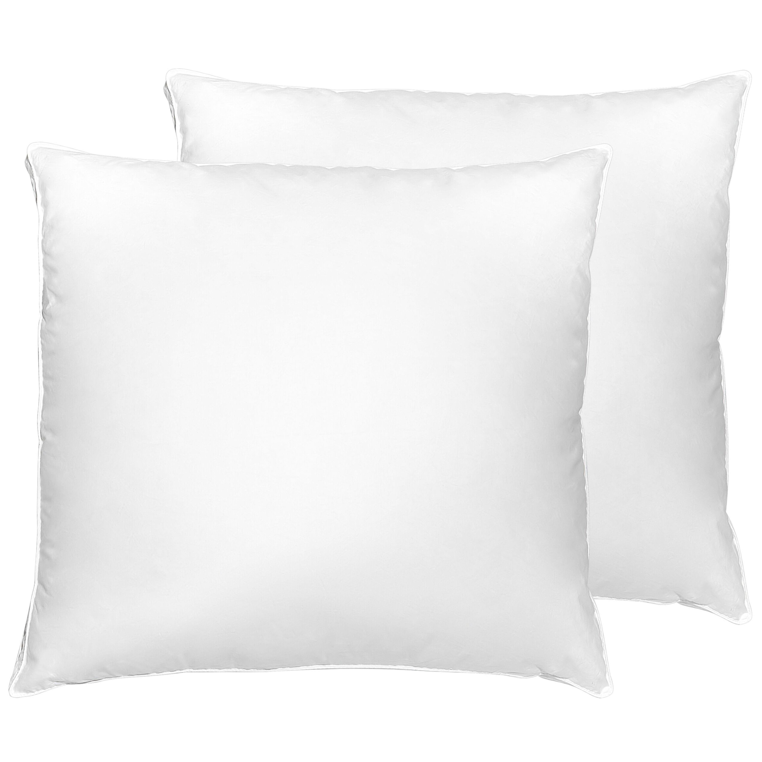 Hoofdkussen set van 2 dons/eendenveren laag 80 x 80 cm VIHREN