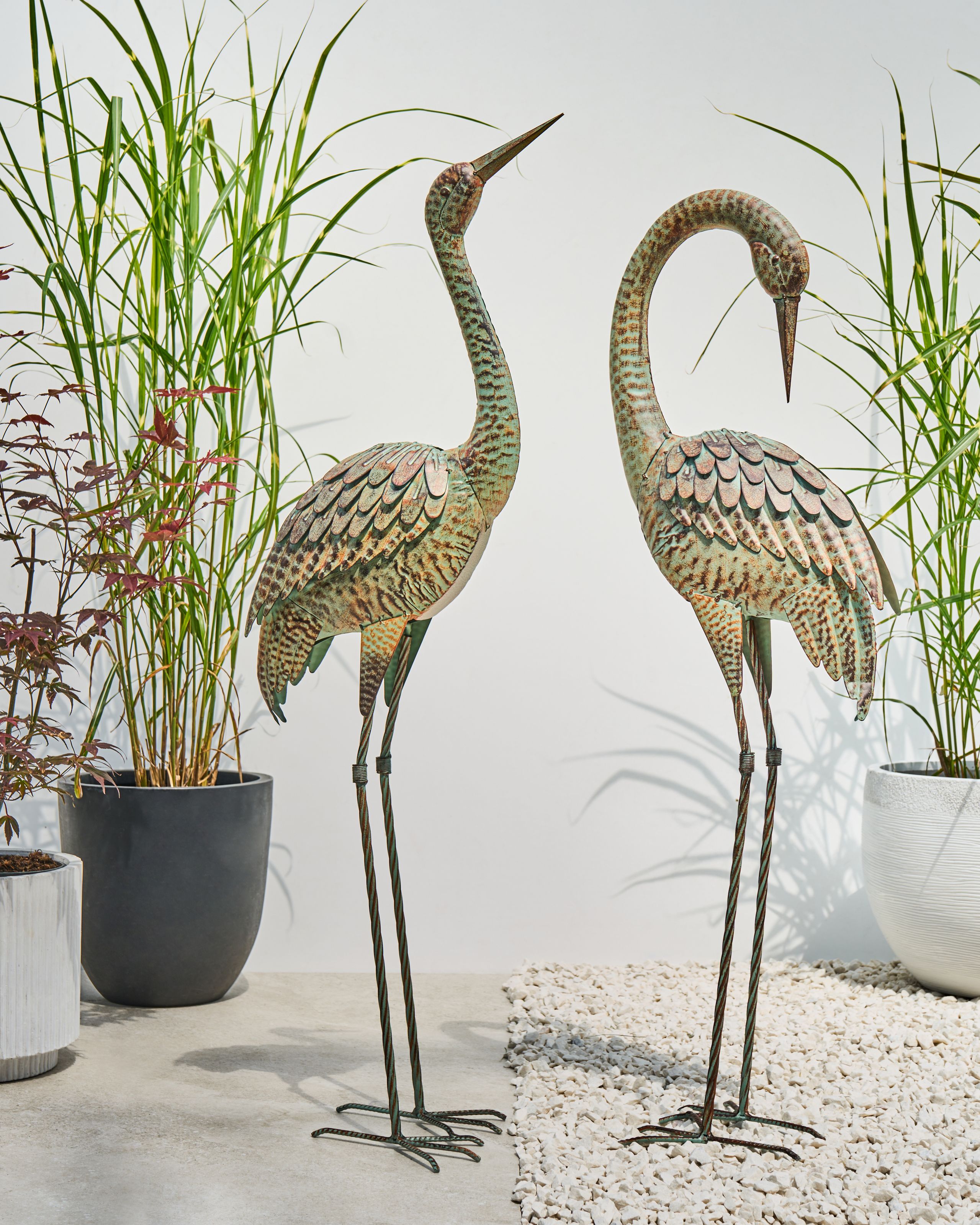 undef_src_sa_picid_999900_x_2560_type_color_image.jpg