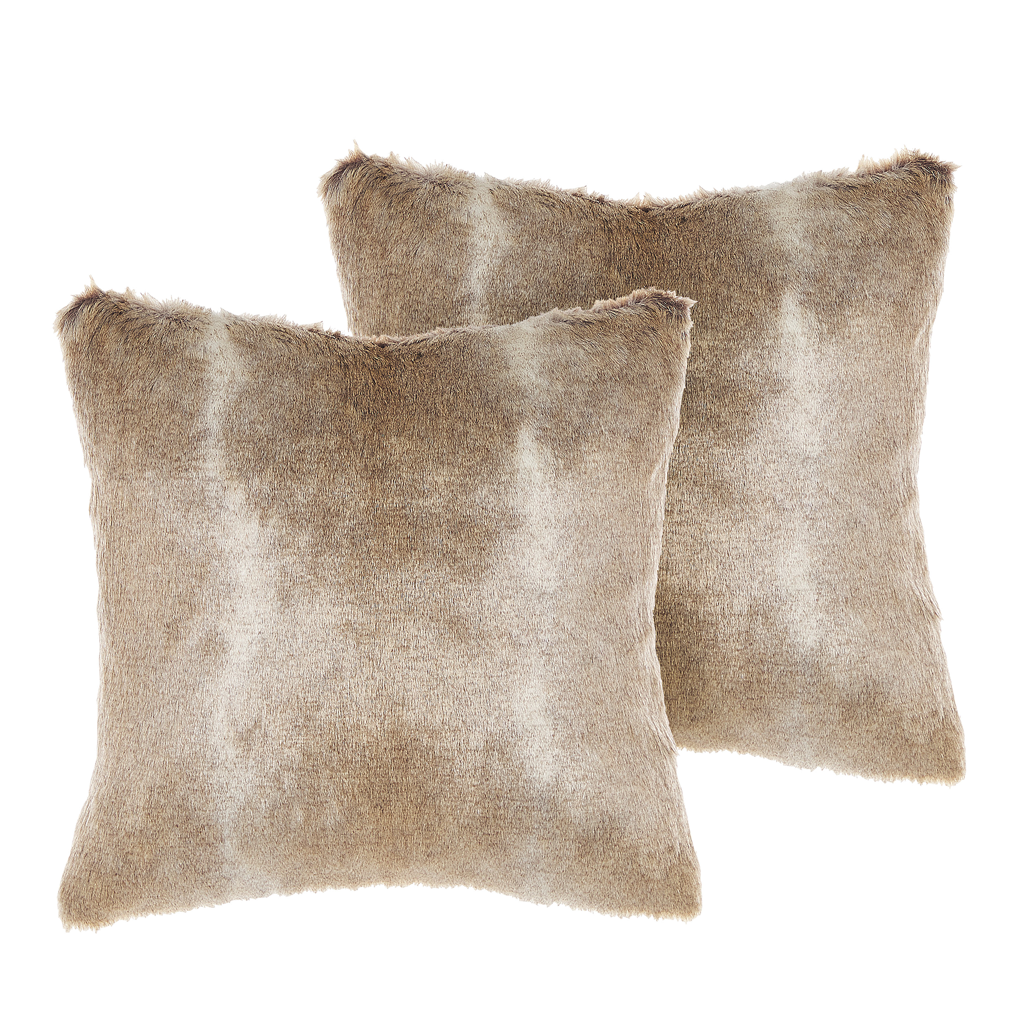 Set van 2 kussens Lichtbruin HORDEUM 45 x 45 cm