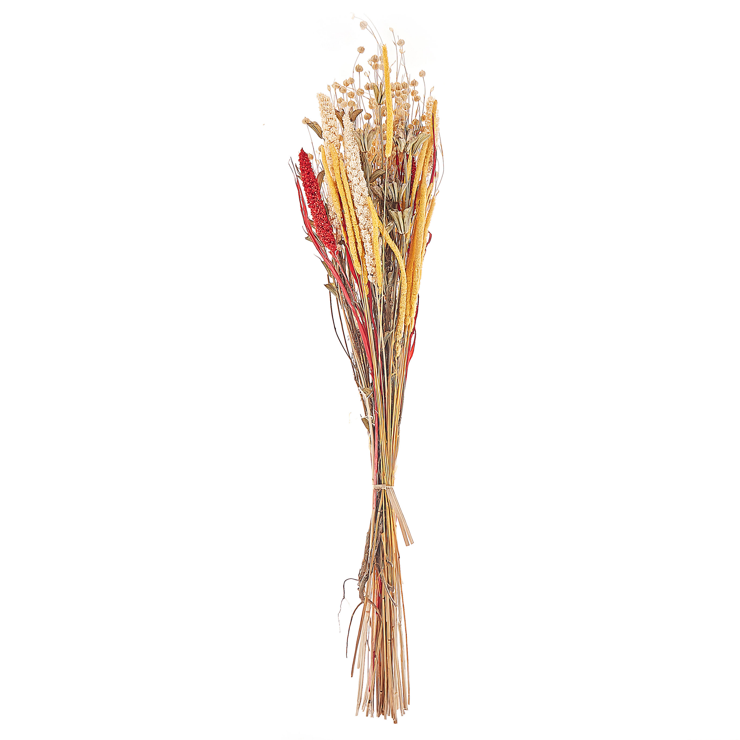 Droogbloemen boeket 65 cm rood en geel PAMPELUNA