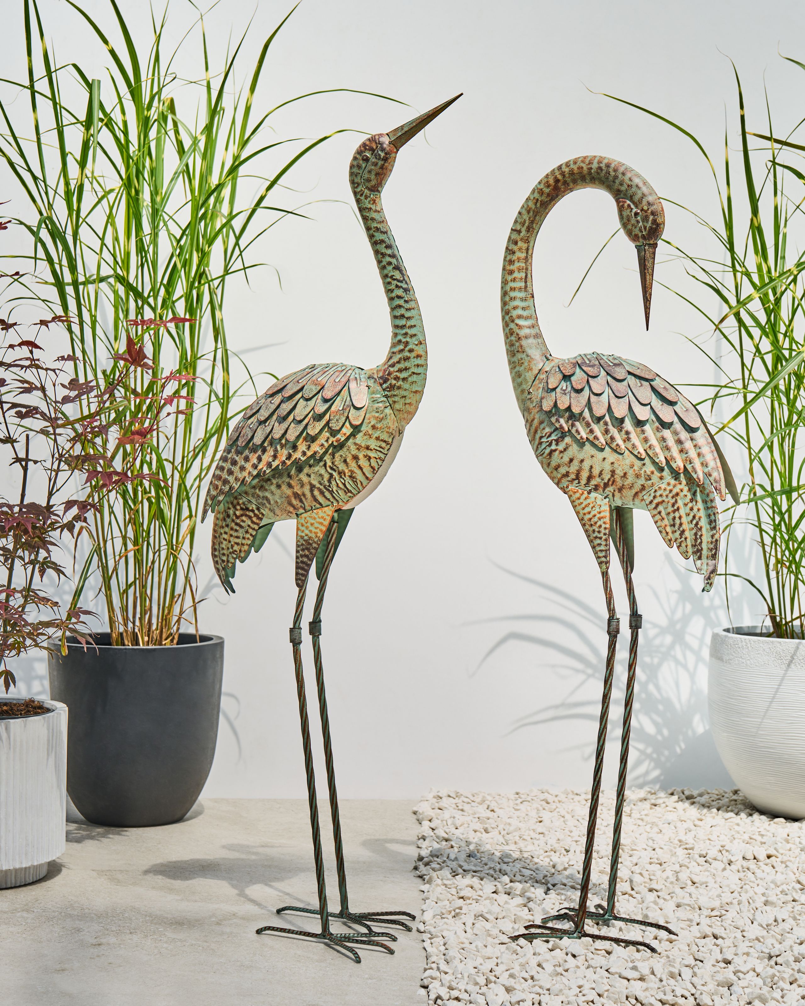 undef_src_sa_picid_999907_x_2560_type_color_image.jpg