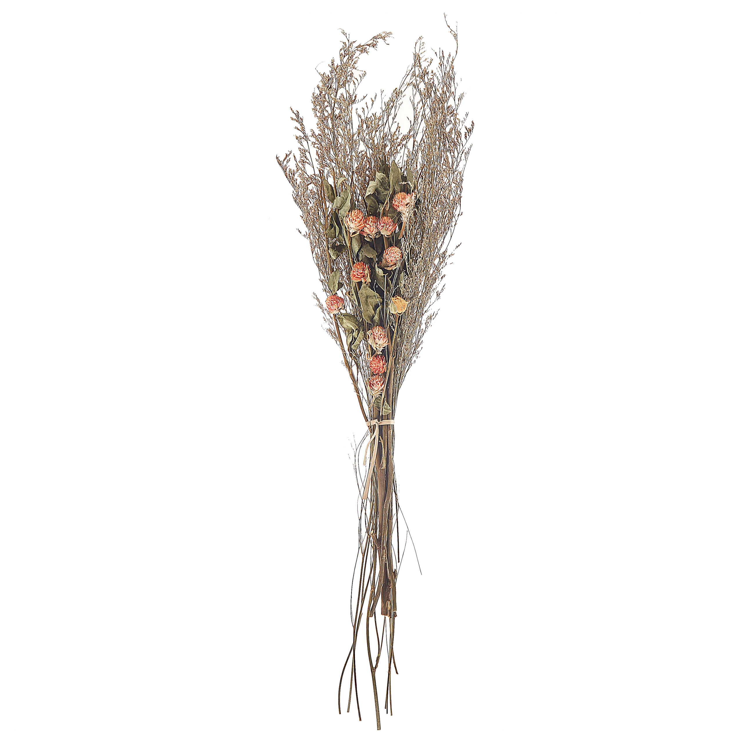 Droogbloemen boeket 65 cm oranje en groen AZUEL