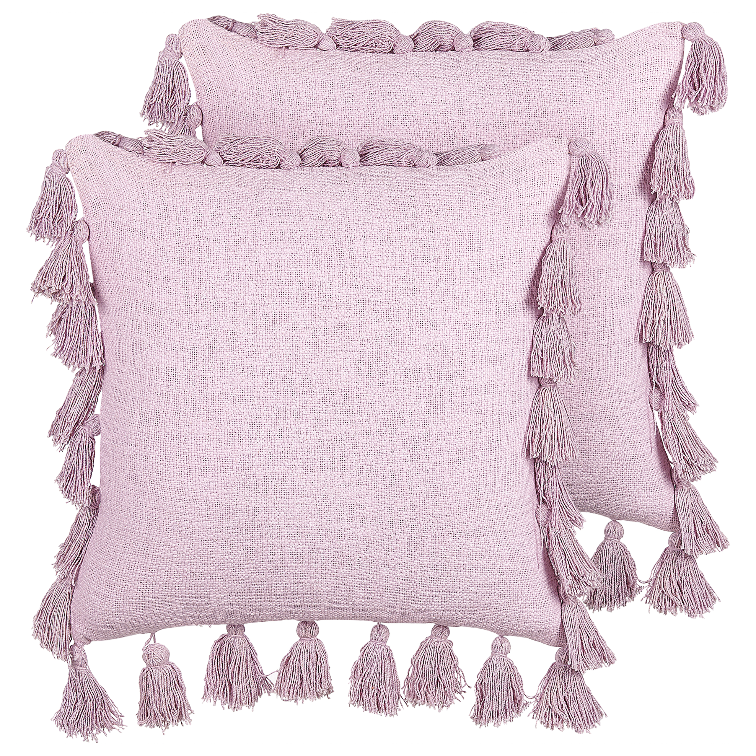 Set van 2 kussens Katoen Roze LYNCHIS 45 x 45 cm