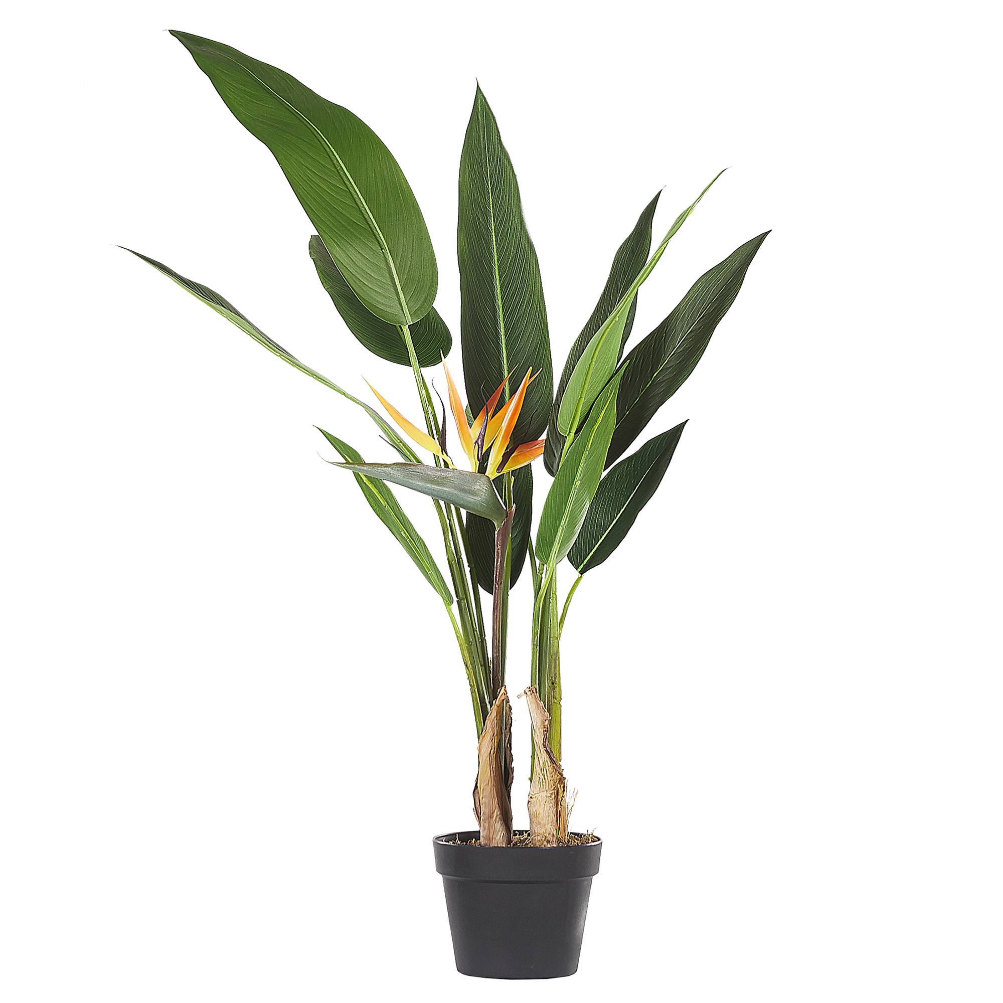 Kunstplant 115 cm STRELITZIA TREE