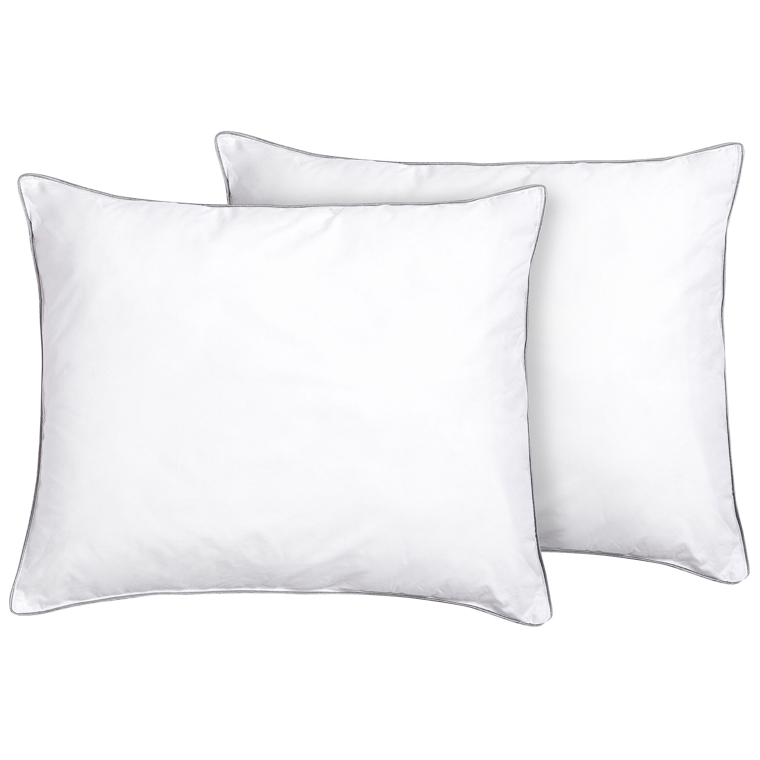 Hoofdkussen set van 2 microvezel 50 x 60 cm PELISTER