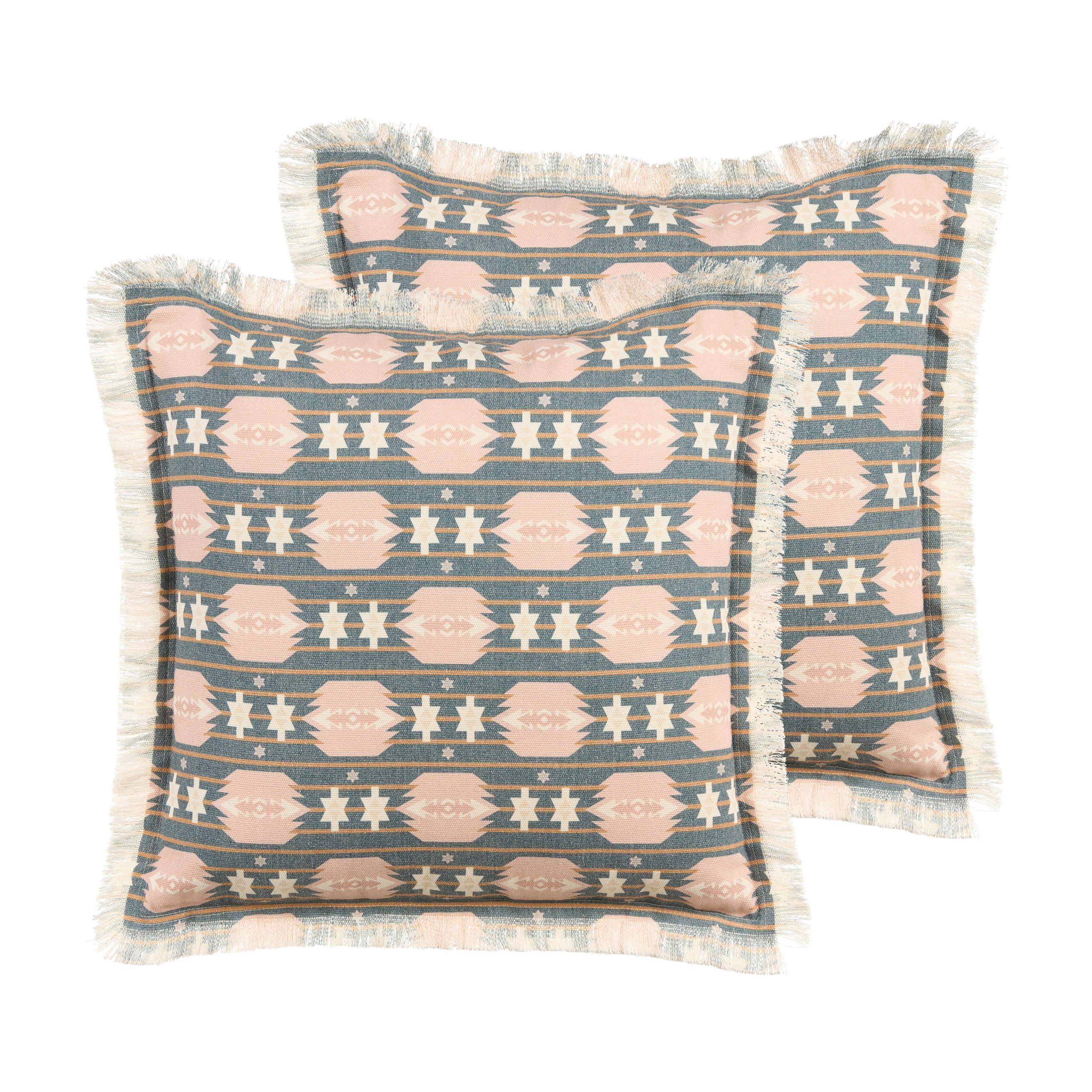Set van 2 kussens Multicolor DIANTHUS 60 x 60 cm
