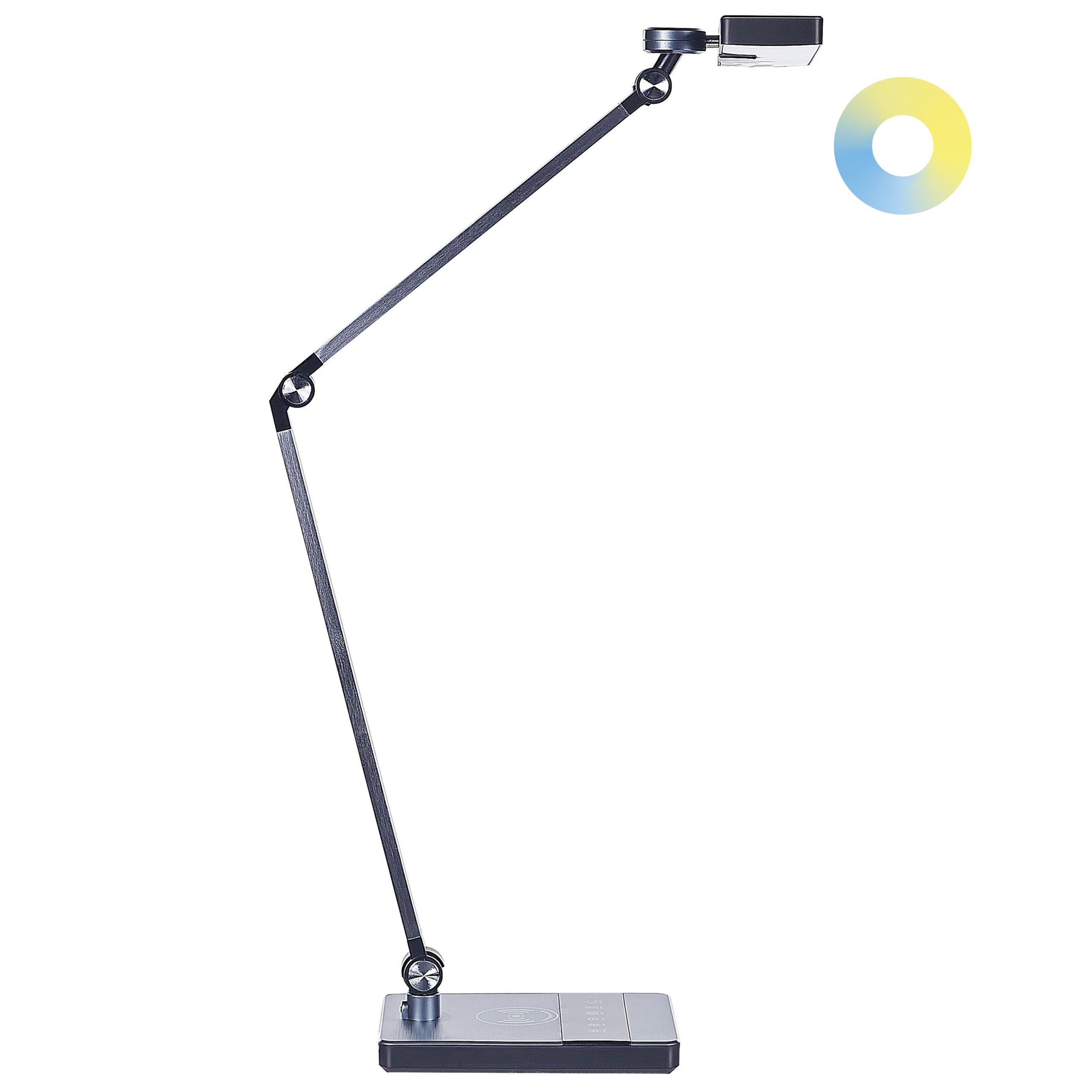 Bureaulamp metaal zwart LACERTA