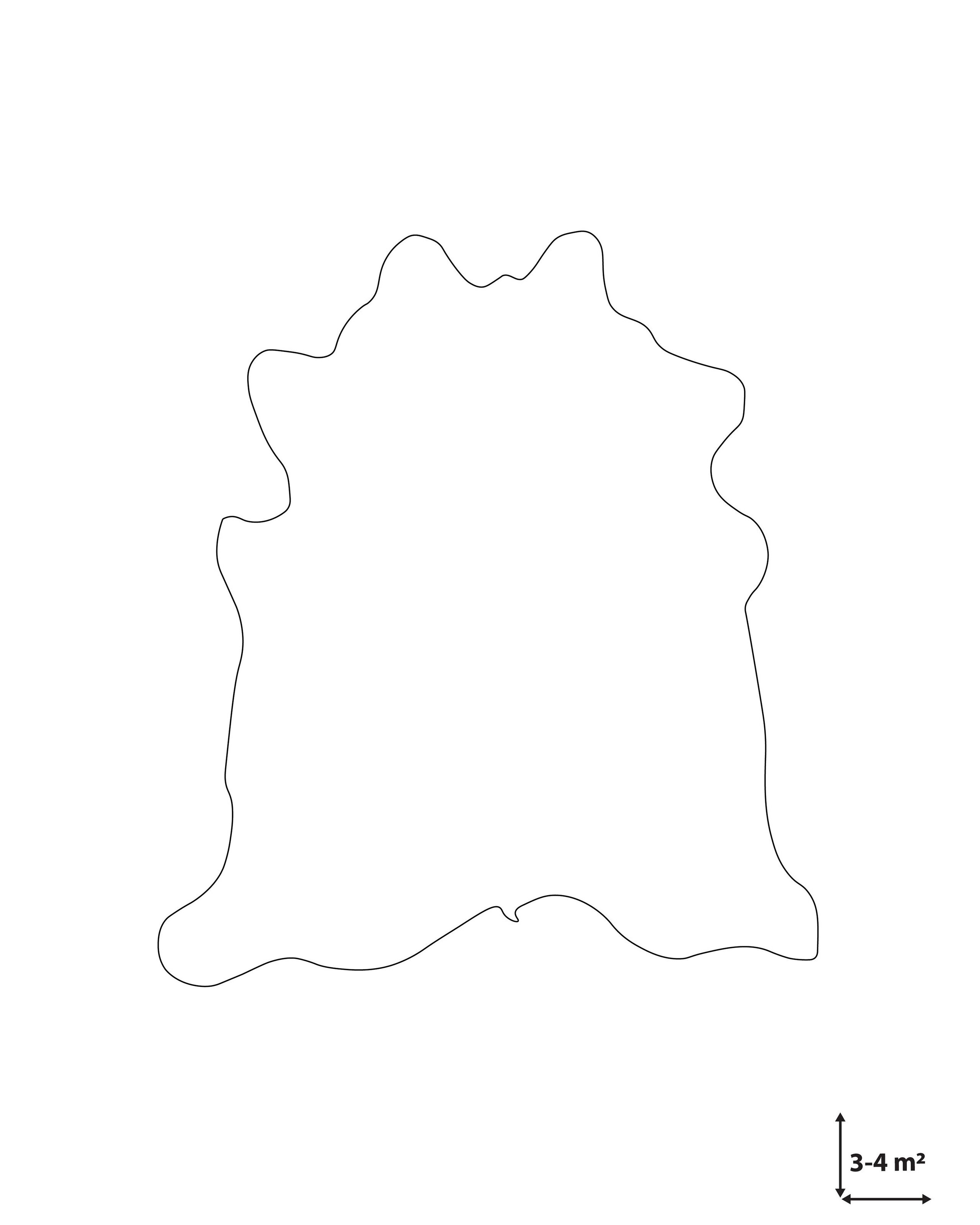 undef_src_sa_picid_815842_x_2560_type_whitesh_image.jpg