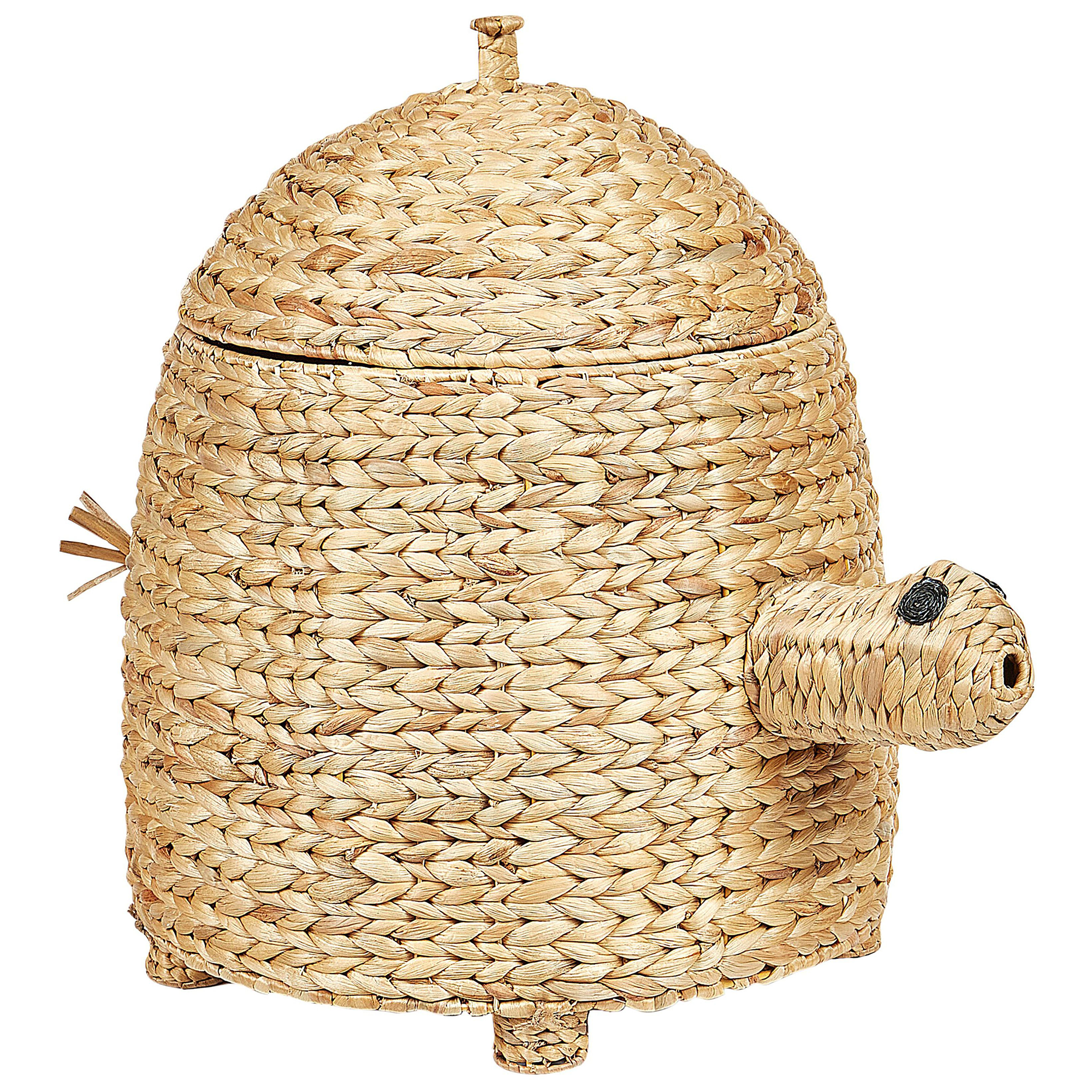 Mand waterhyacint natuurlijk MONTAGU