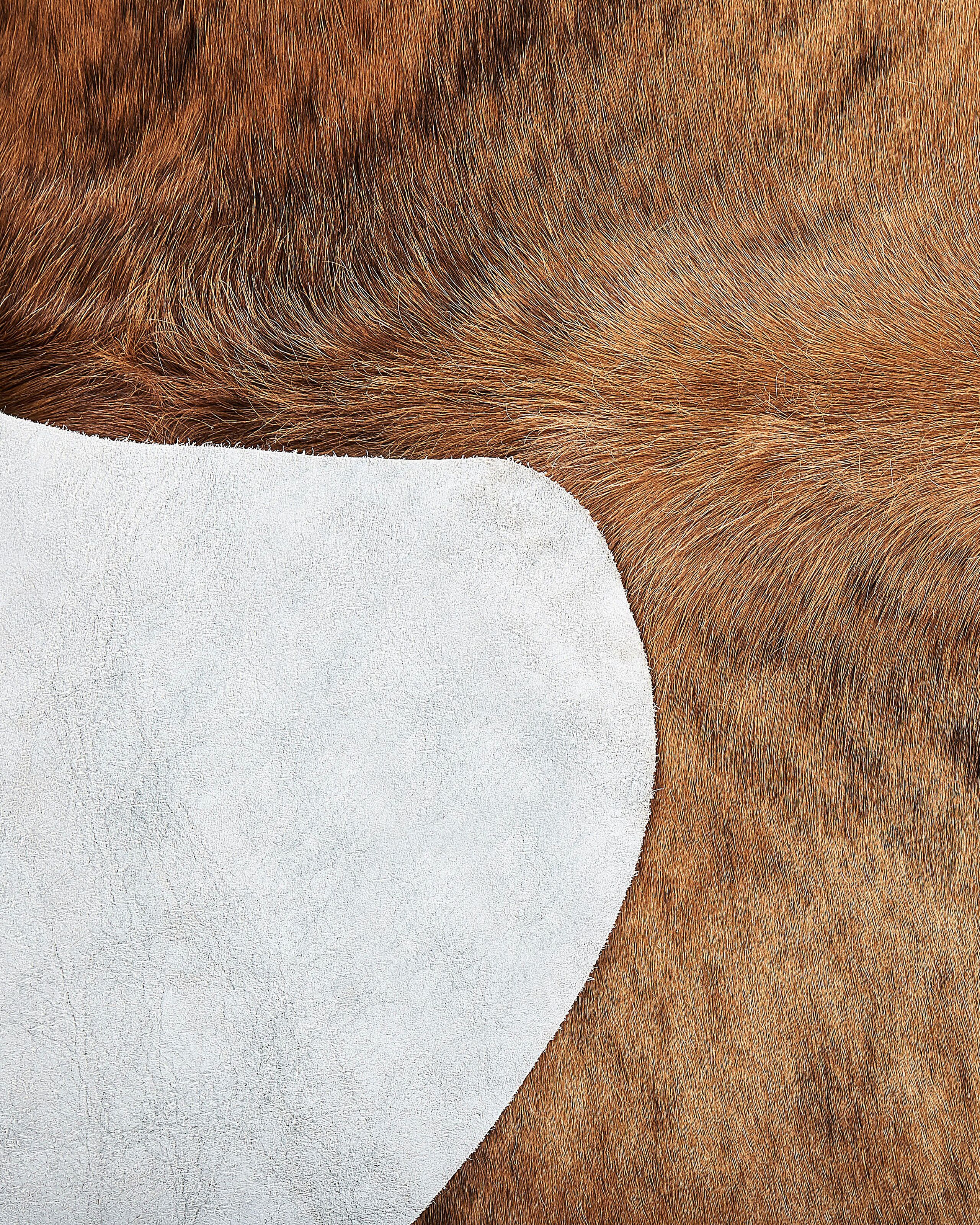 undef_src_sa_picid_815838_x_2560_type_whitesh_image.jpg