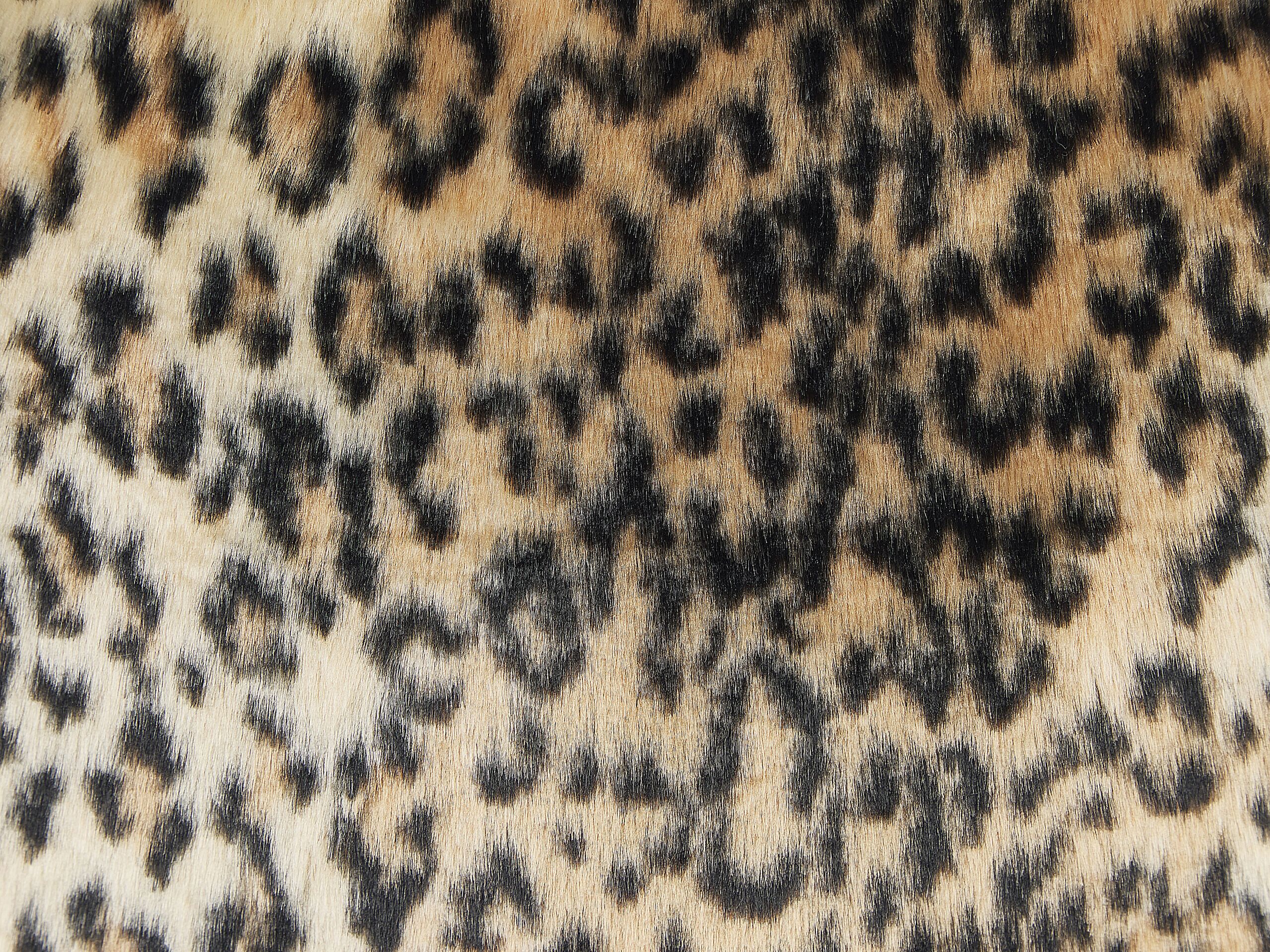 undef_src_sa_picid_822142_x_2560_type_whitesh_image.jpg