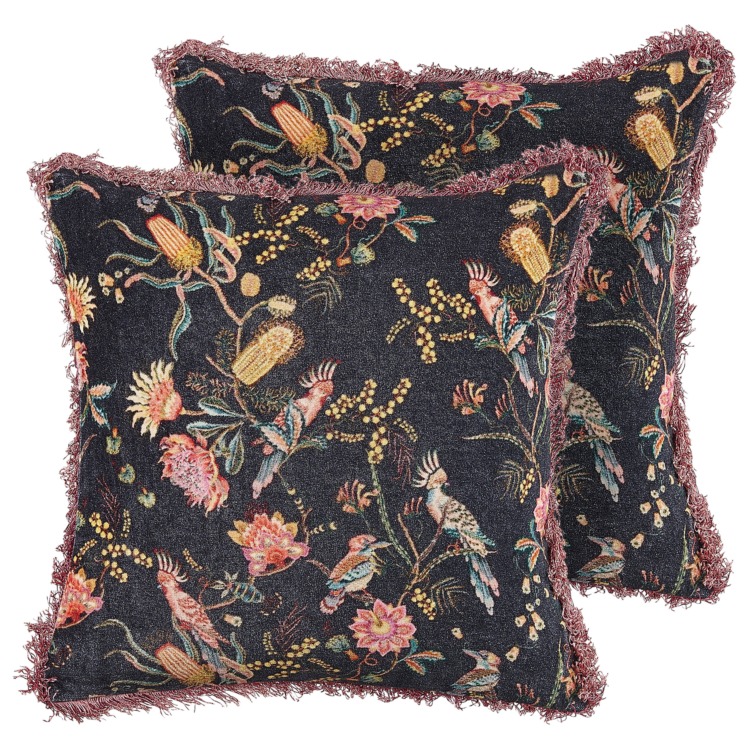 Set van 2 kussens Katoen Zwart MORUS 45 x 45 cm
