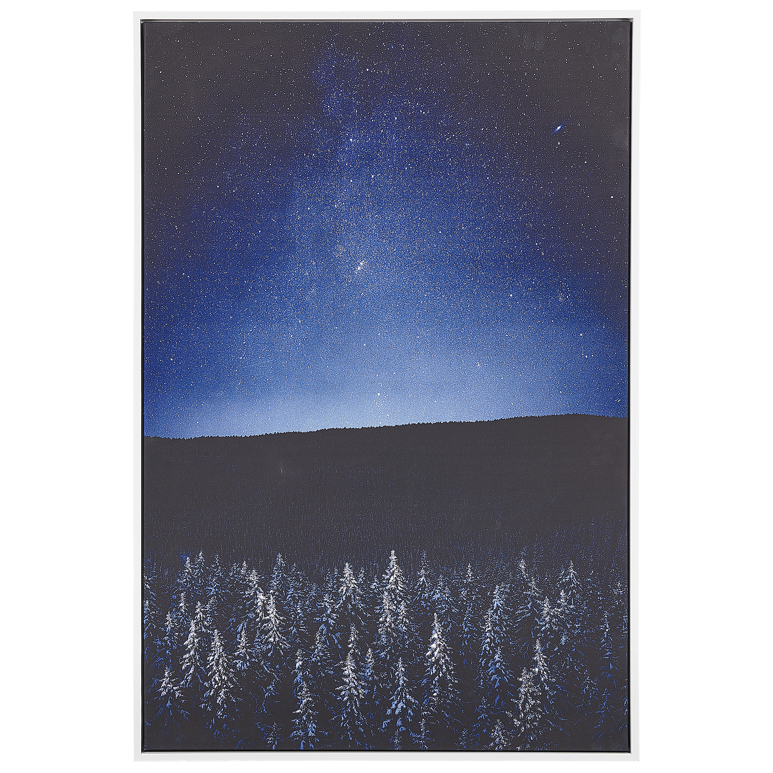 Wanddecoratie 63 cm 93 cm Zwart LORETO