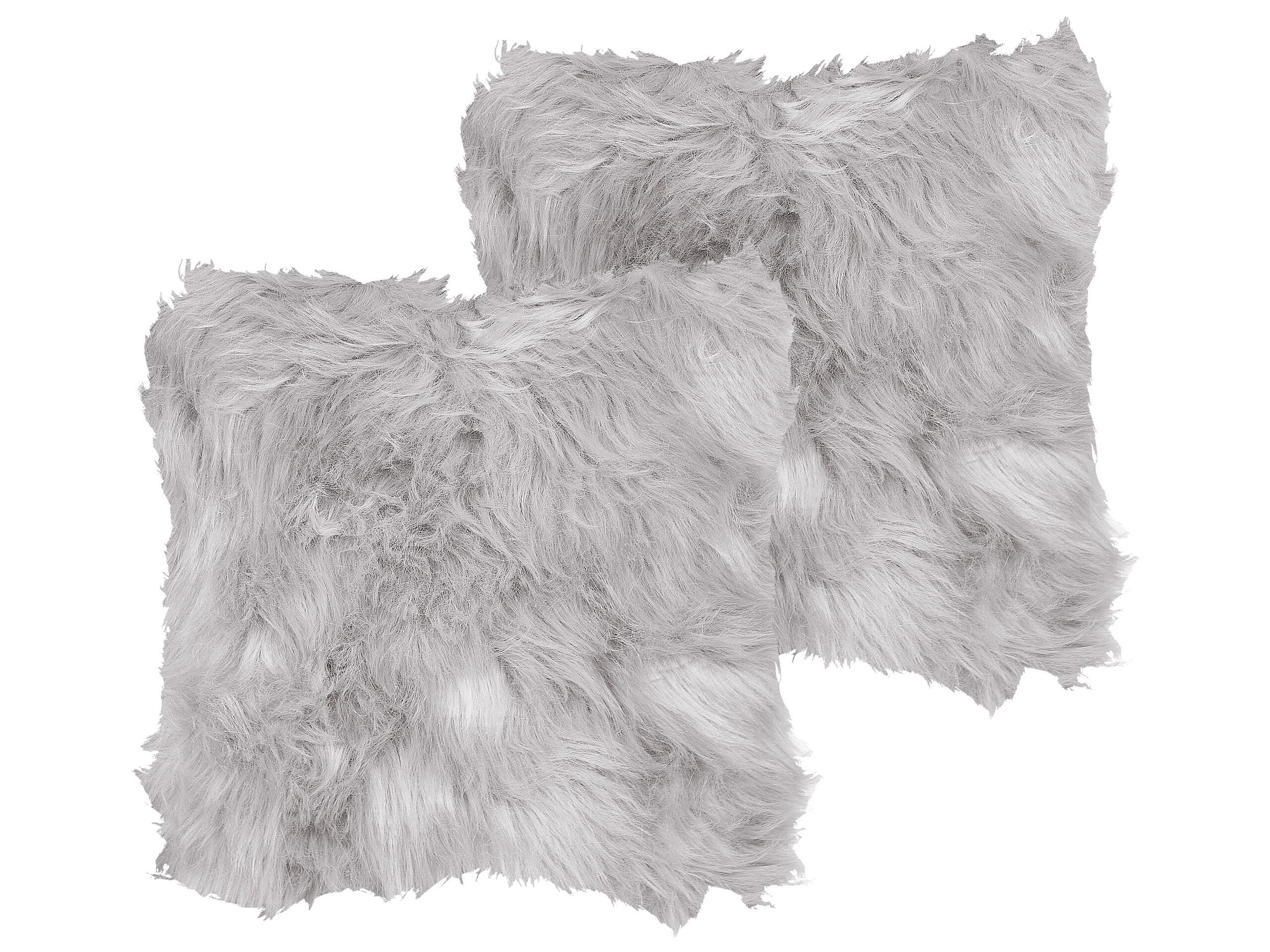 undef_src_sa_picid_854238_x_2560_type_whitesh_image.jpg