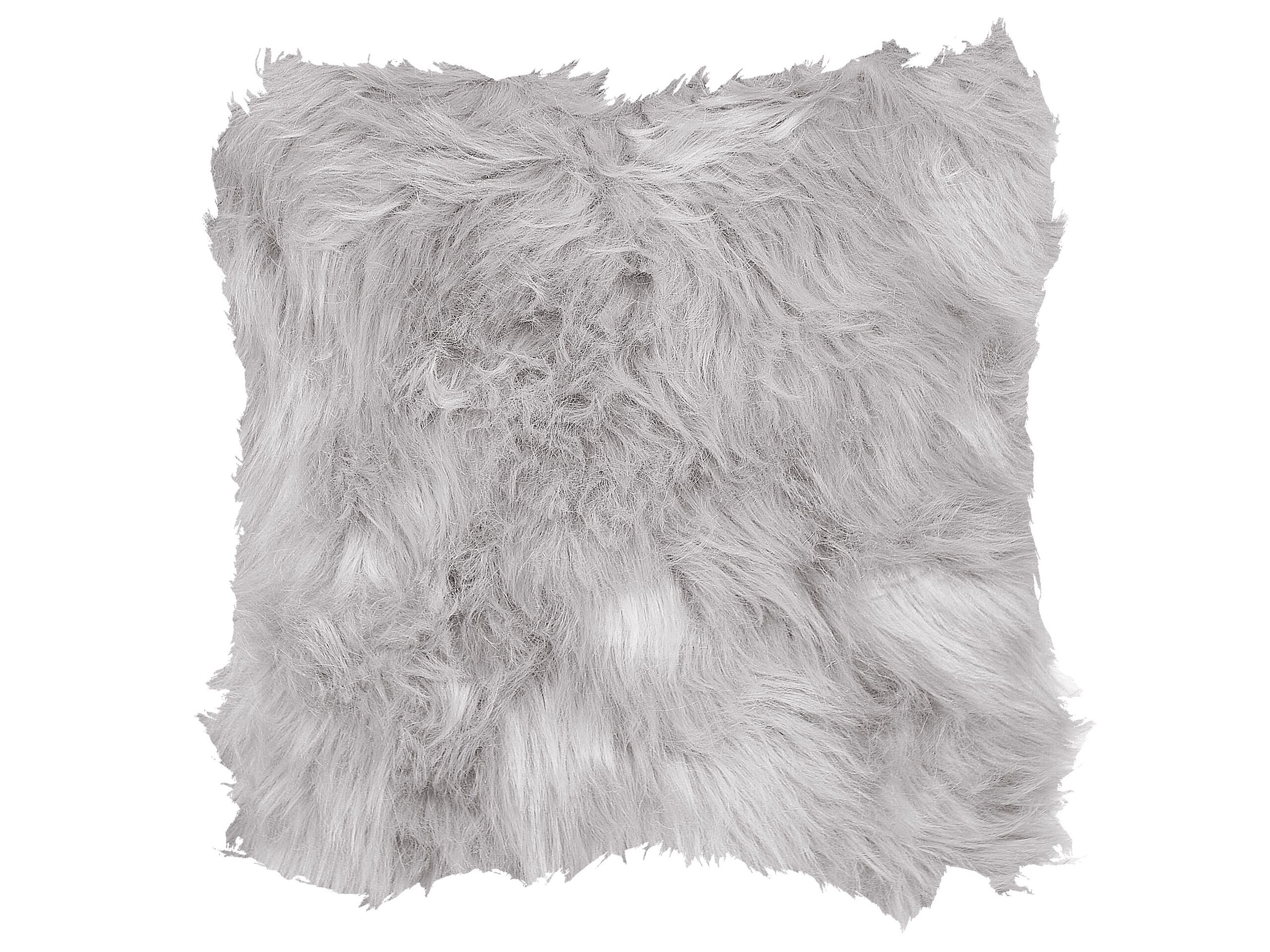 undef_src_sa_picid_854239_x_2560_type_whitesh_image.jpg