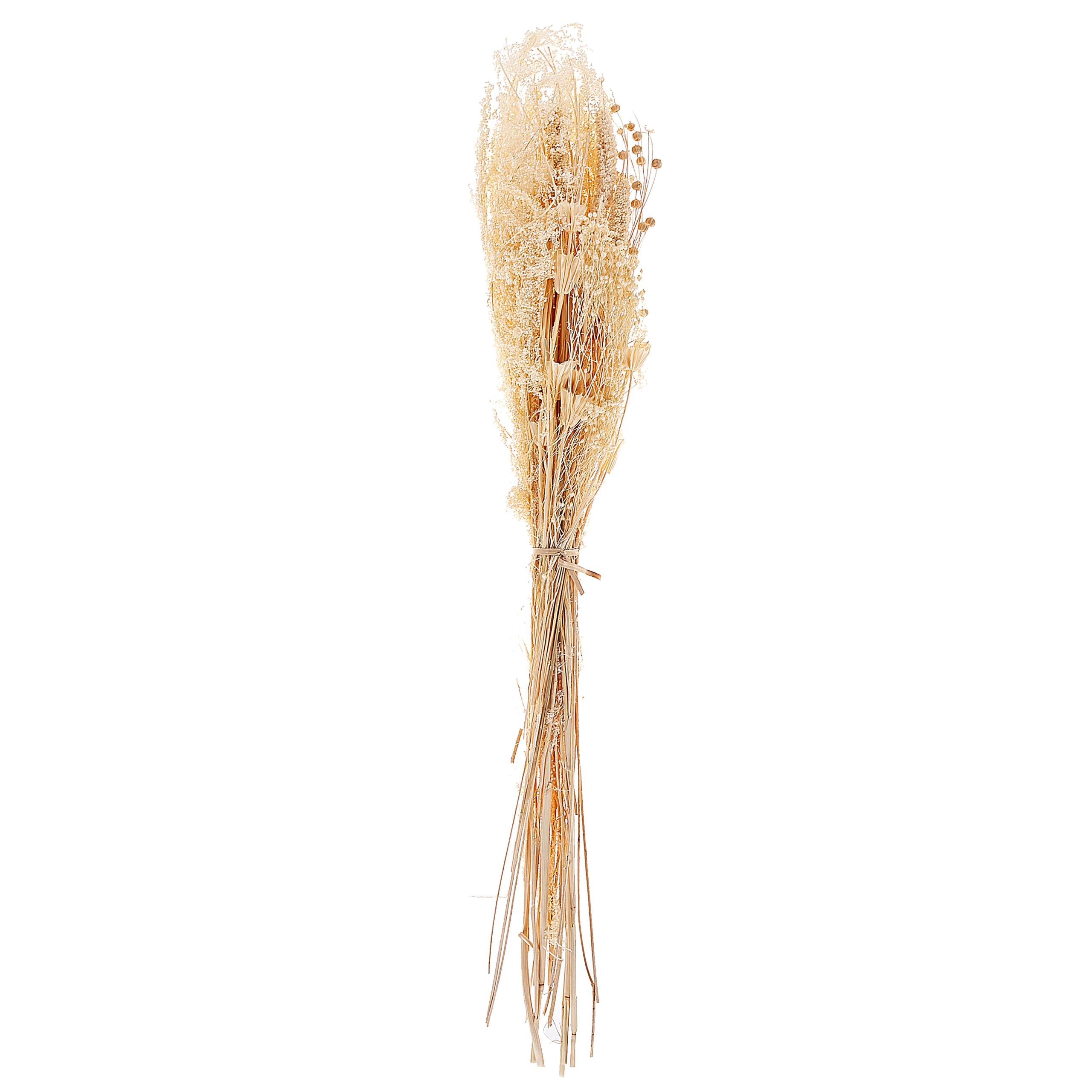 Droogbloemen boeket 65 cm naturel BRUNETE