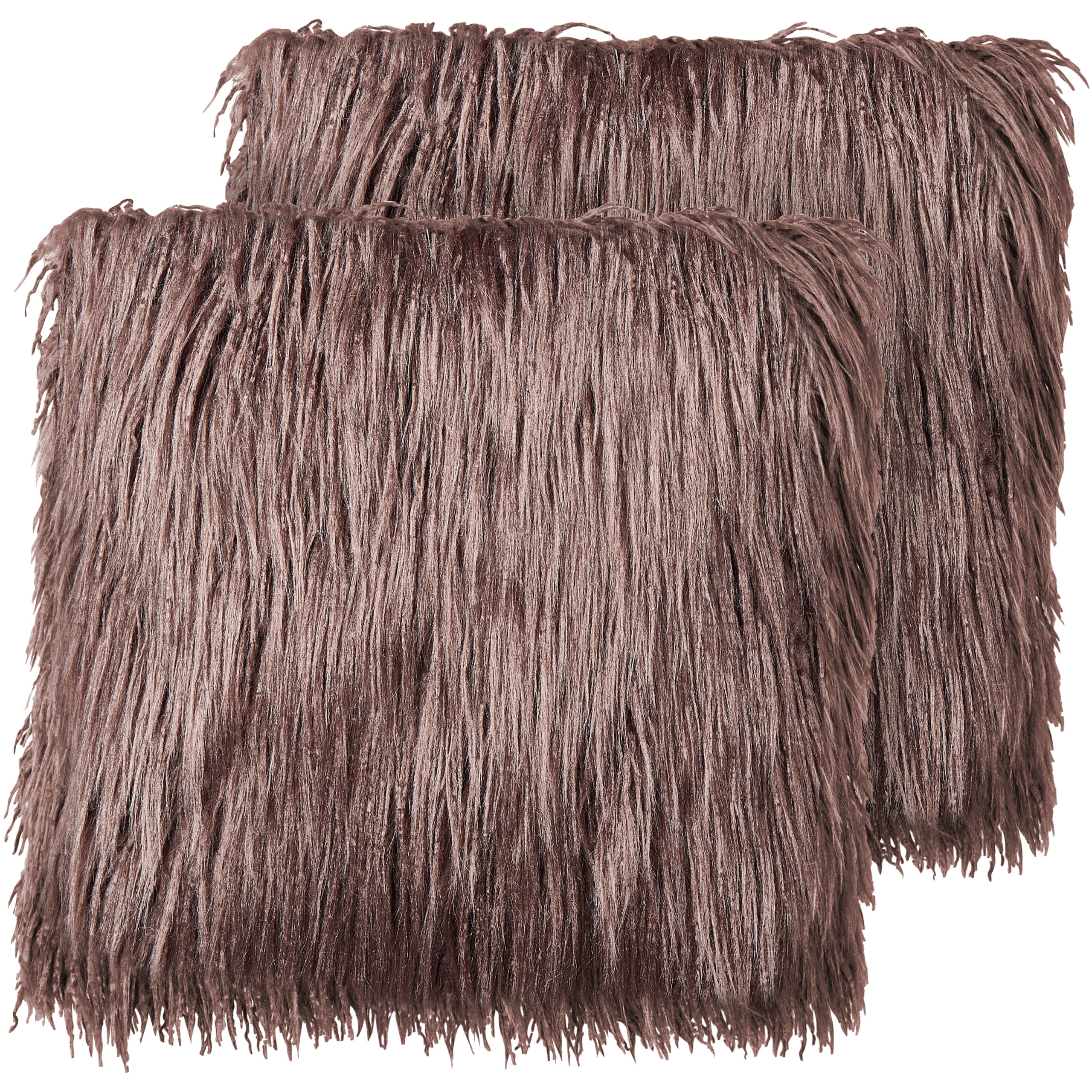 Set van 2 kussens Bruin COROKIA 45 x 45 cm