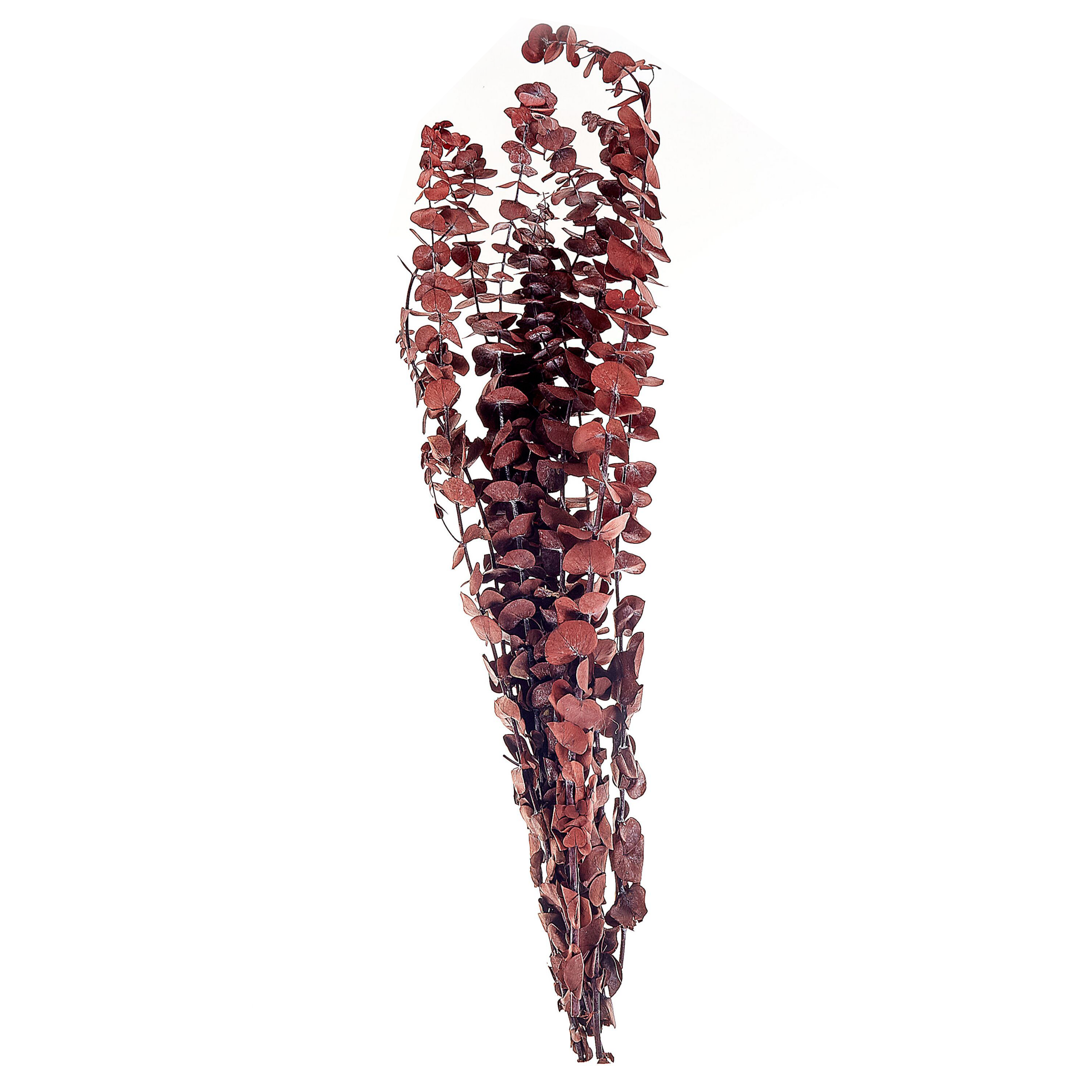 Droogbloemen boeket 56 cm donkerrood BADAJOZ