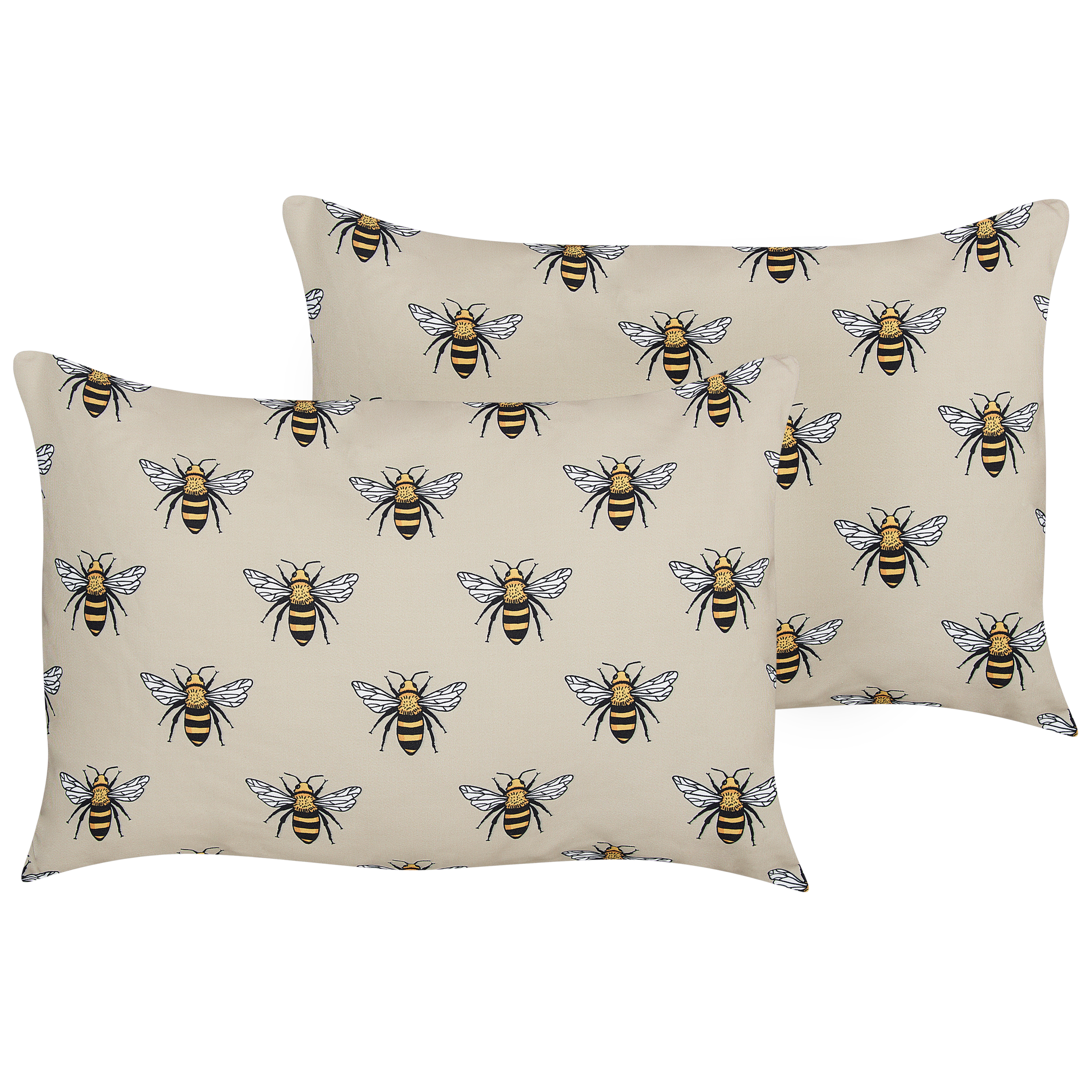 Tuinkussen set van 2 bij beige 40 x 60 cm CANNETO