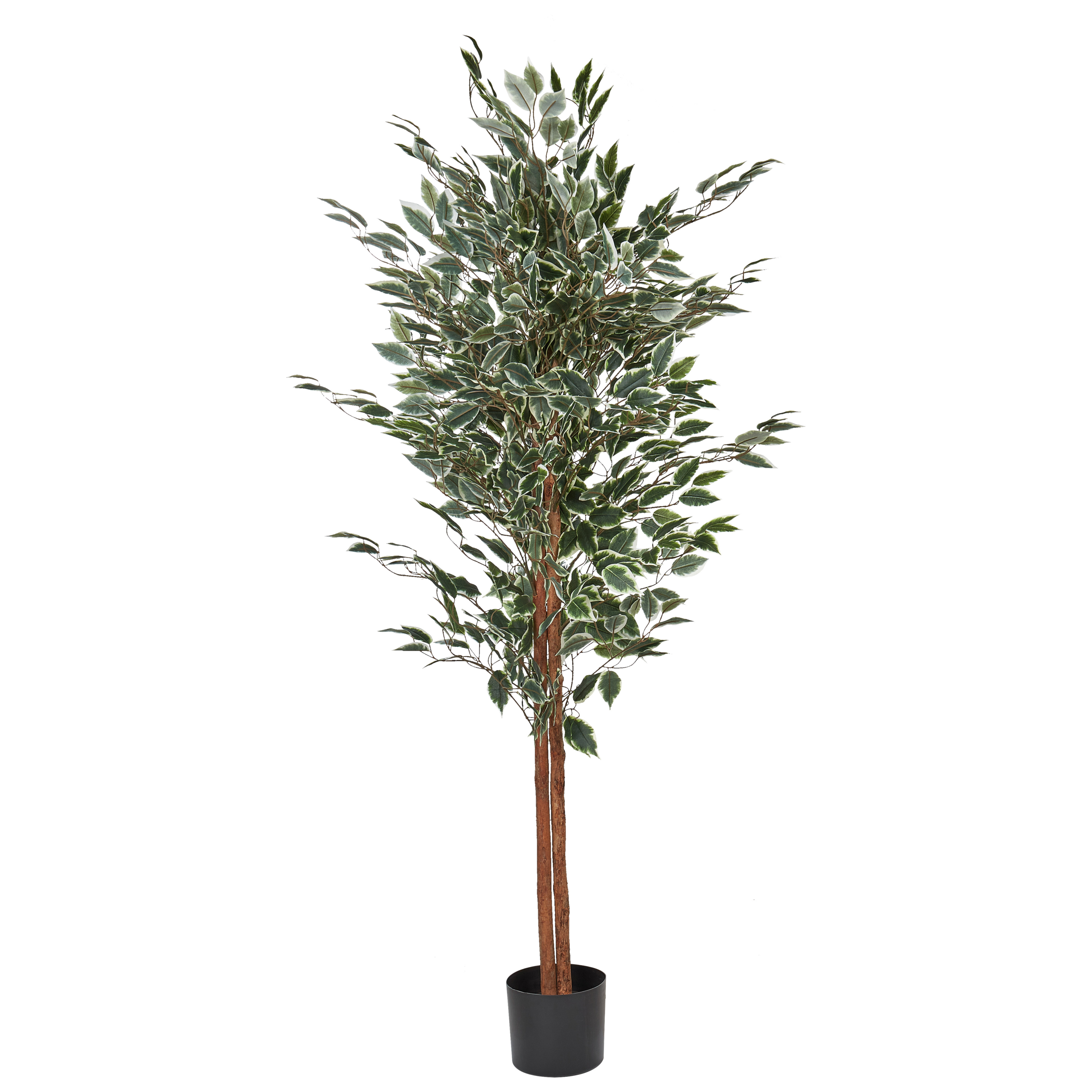 Kunstplant 167 cm FICUS TREE