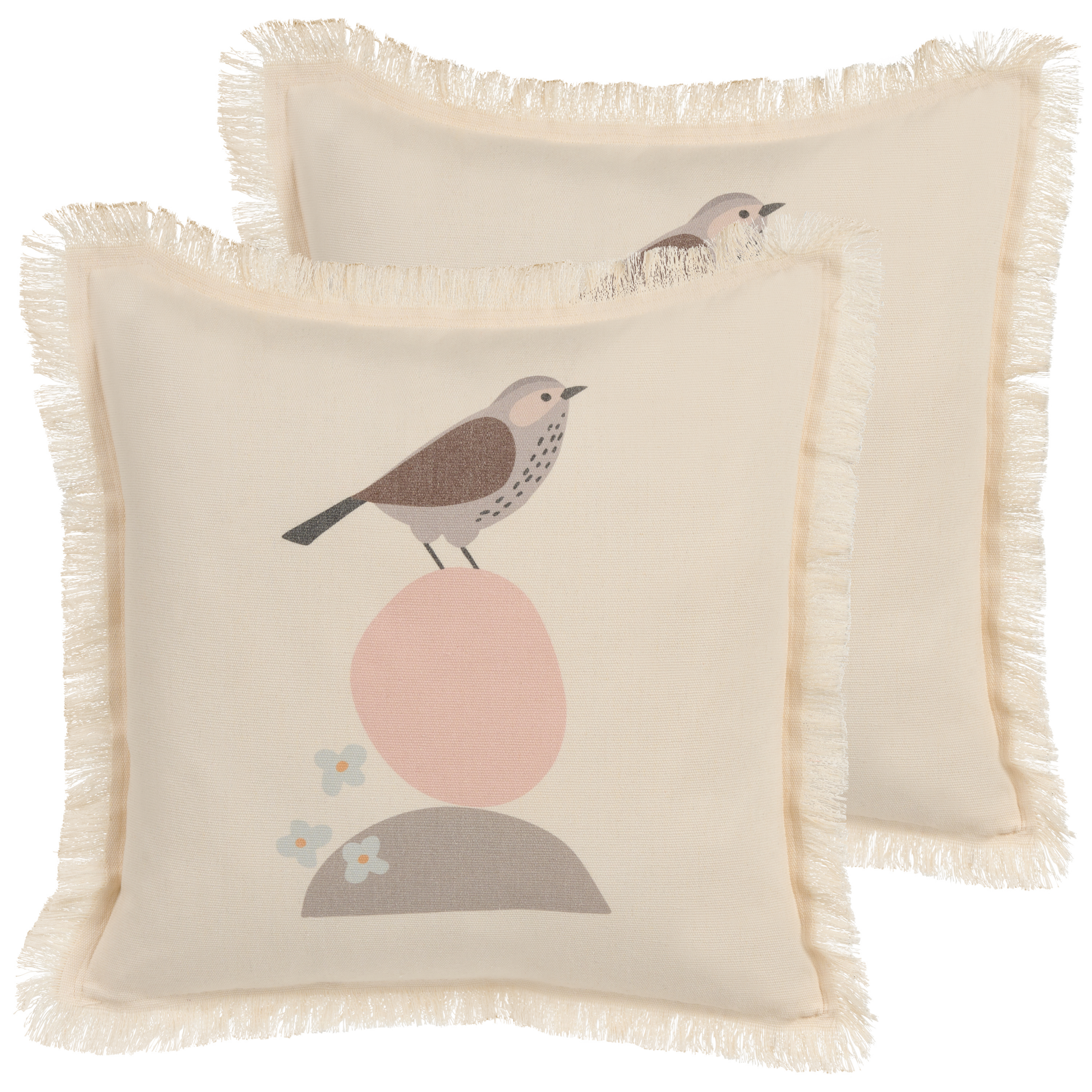 Set van 2 kussens Lichtbeige WATTLE 60 x 60 cm