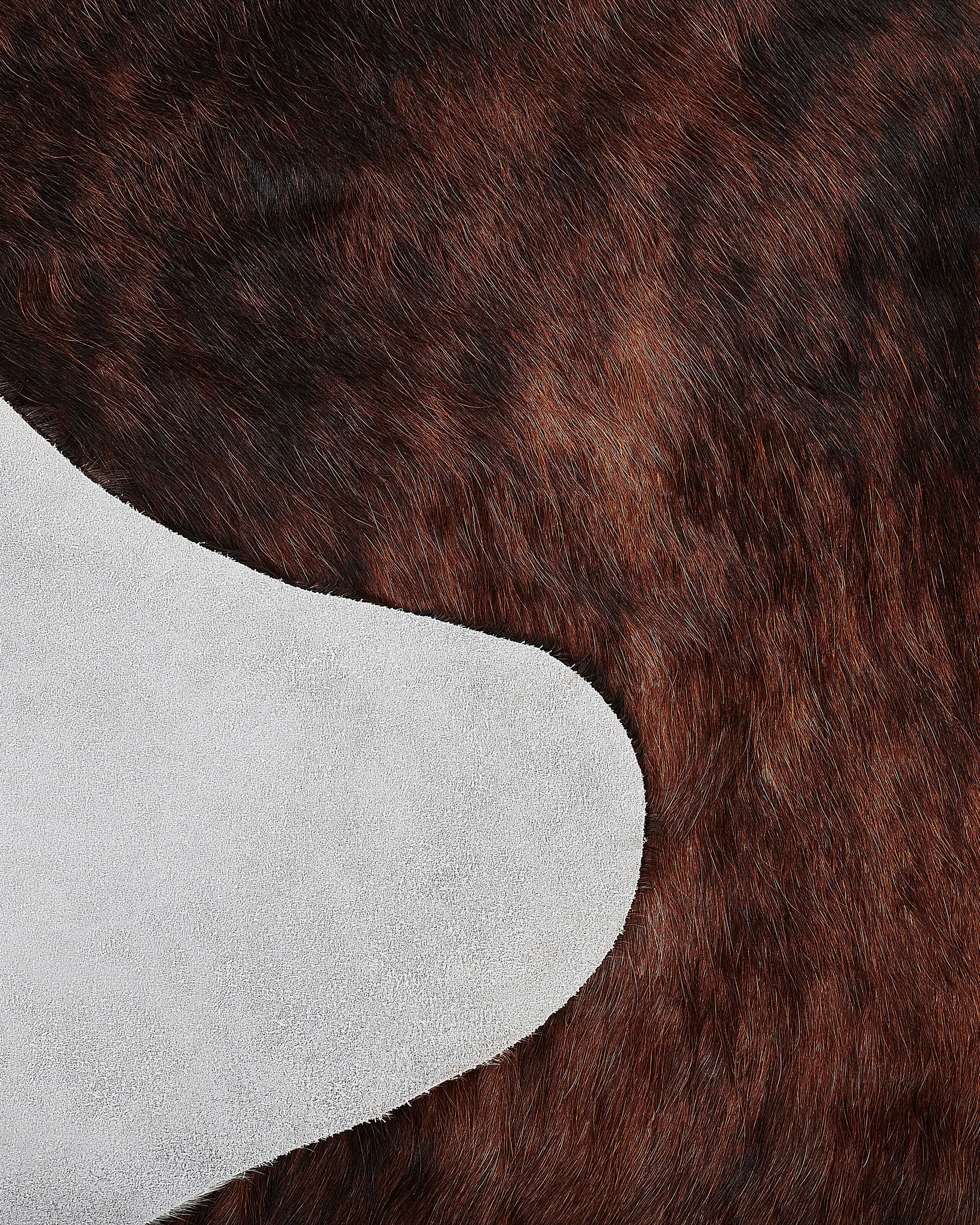 undef_src_sa_picid_815852_x_2560_type_whitesh_image.jpg