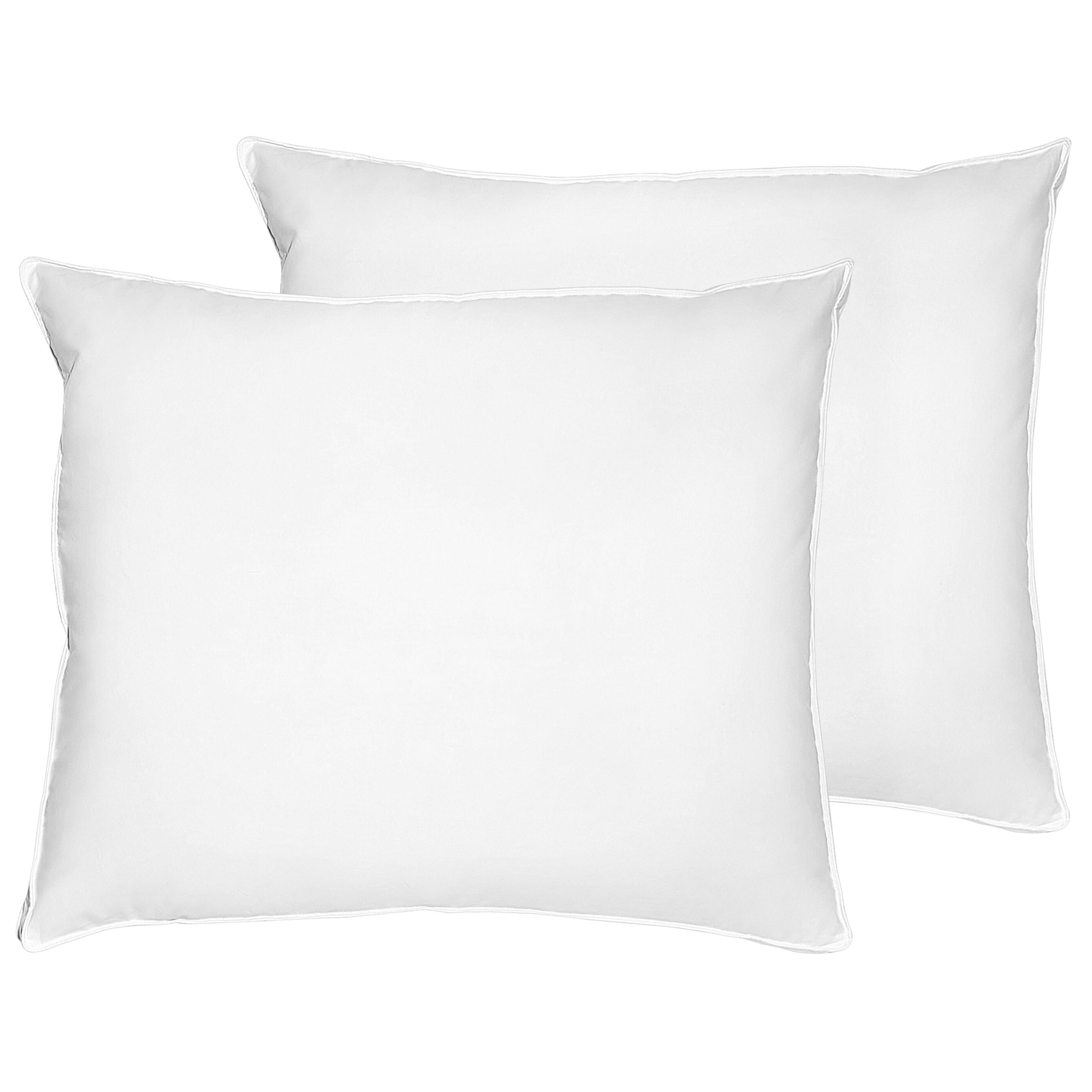 Hoofdkussen set van 2 dons/eendenveren hoog 50 x 60 cm FELDBERG