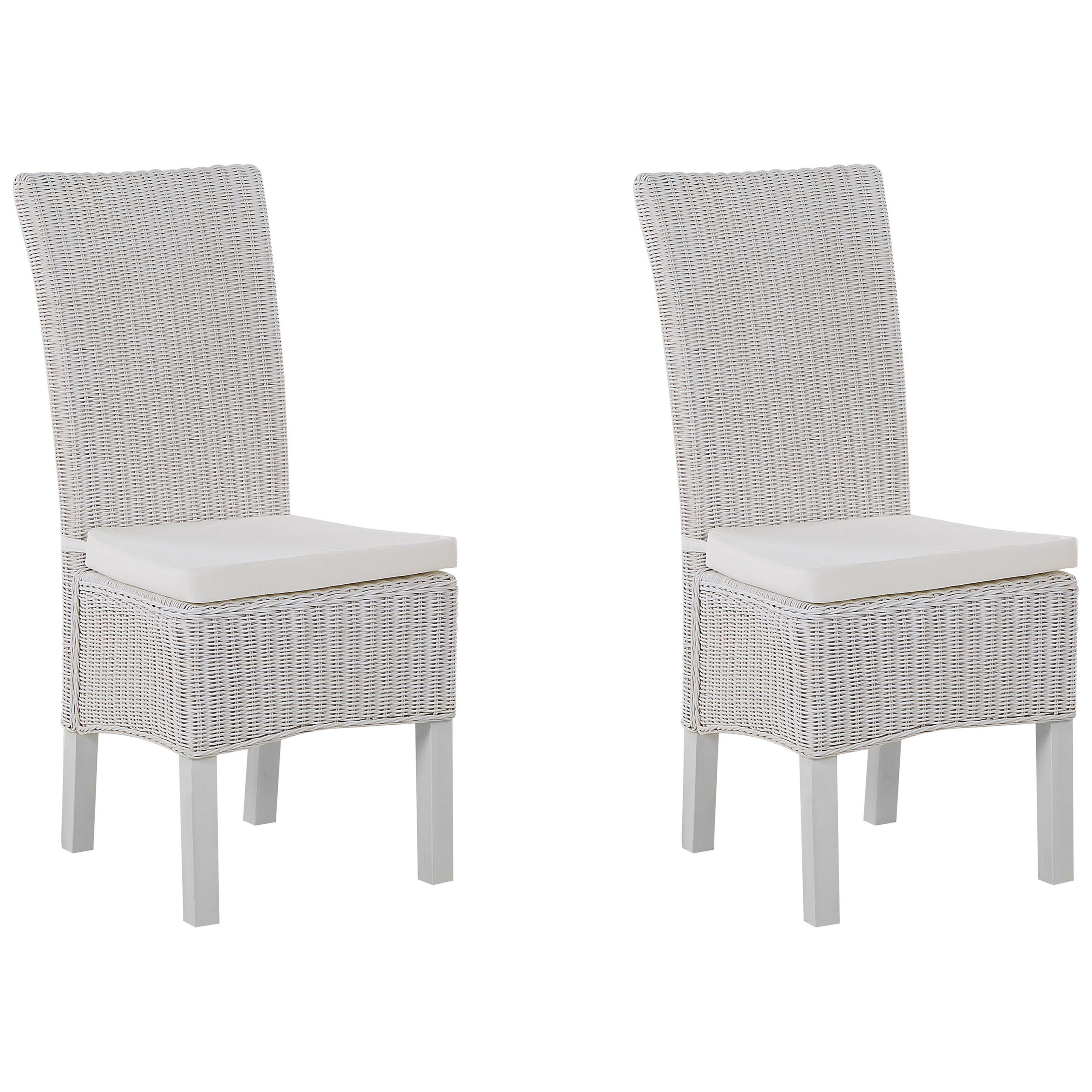 Eetkamerstoel Set van 2 Rotan Wit ANDES